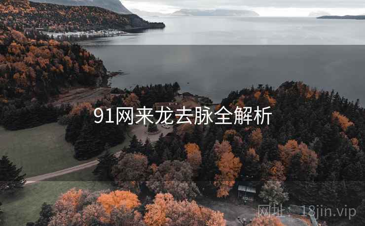 91网来龙去脉全解析