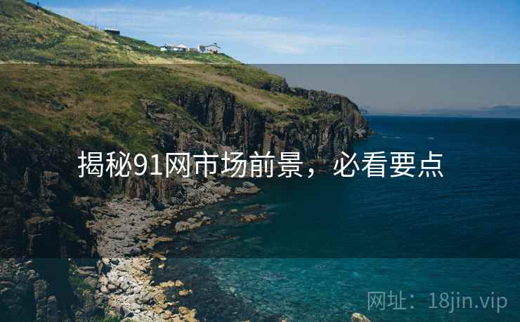 揭秘91网市场前景，必看要点