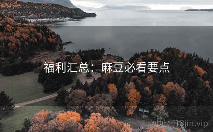 福利汇总：麻豆必看要点