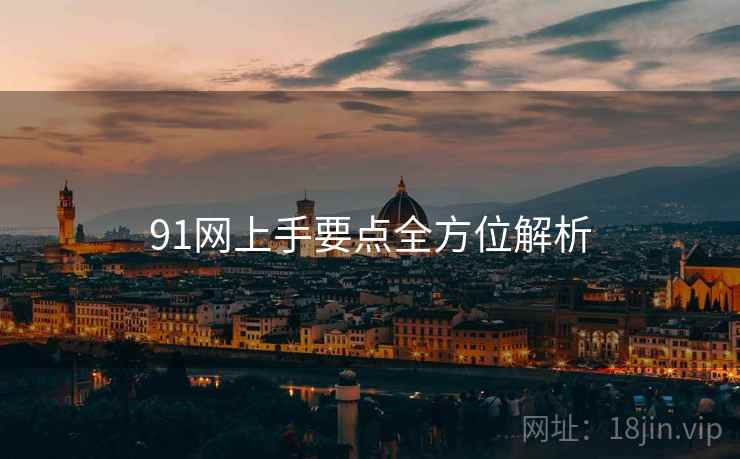 91网上手要点全方位解析