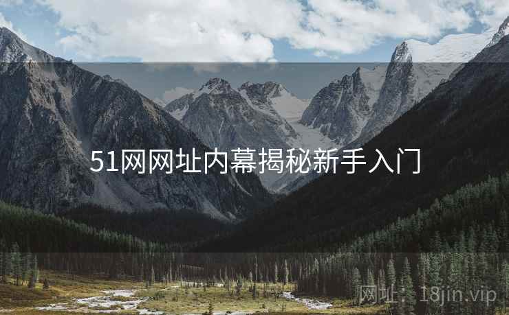 51网网址内幕揭秘新手入门