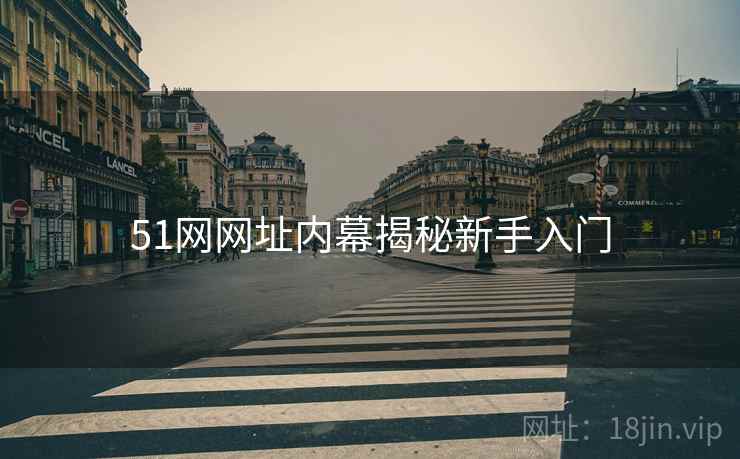 51网网址内幕揭秘新手入门