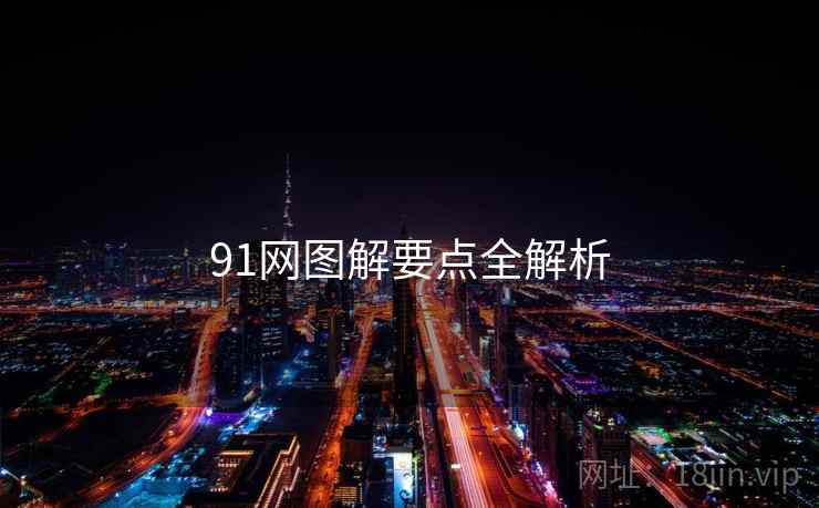 91网图解要点全解析