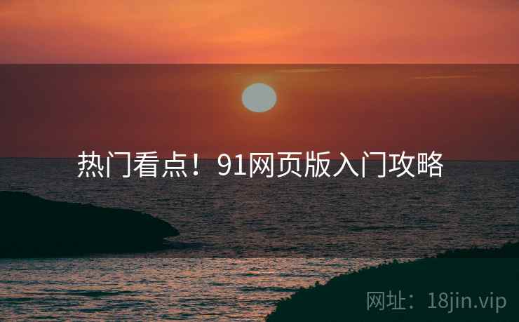 热门看点！91网页版入门攻略