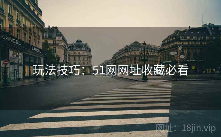 玩法技巧：51网网址收藏必看