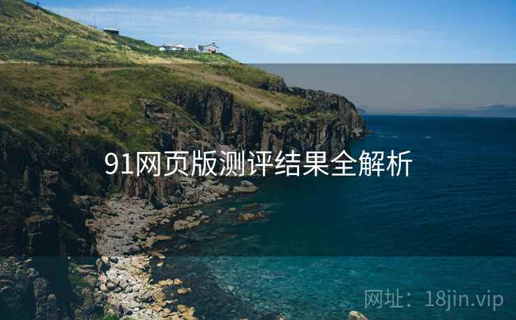 91网页版测评结果全解析